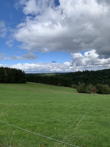 Broicher Wald Rundweg
