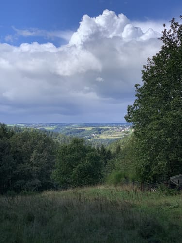 Broicher Wald Rundweg