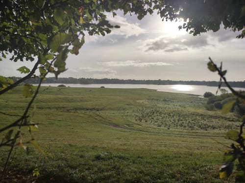 Rund um den Bothkamper See