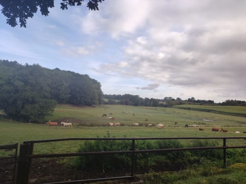 Rund um den Bothkamper See