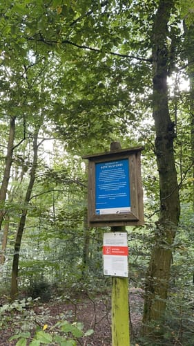 Schevelinger und Neyetalsperre