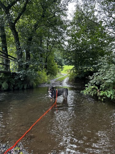 Schevelinger und Neyetalsperre