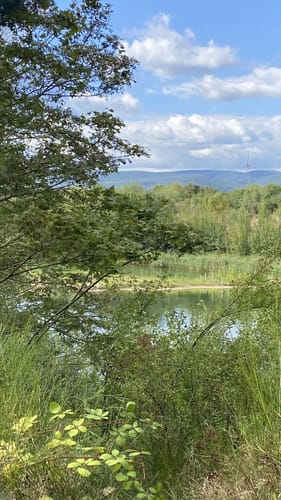 Zum Mußbacher Baggerweiher