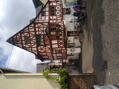 Beidseits der Mosel zwischen Neef und Senheim