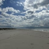 Pine Beach Trail, Alabama - 494 Reviews, Map | AllTrails