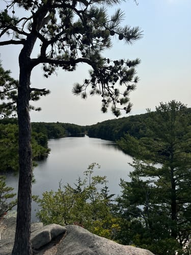 Long pond woods trail sales