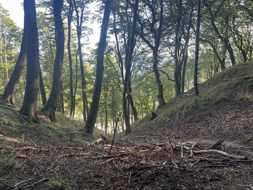 Ranzow - Königsstuhl - Hochuferweg