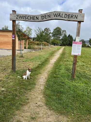 Zwischen den Wäldern (Traumschleife)