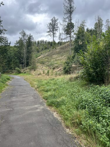 Grubenwanderweg Niederfischbach