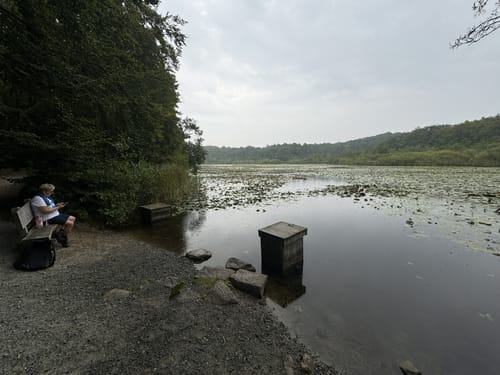 Glücksburg: Yachthafen - Twedterholz - Roikier See - Kurzentrum