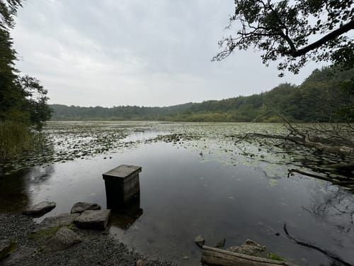 Glücksburg: Yachthafen - Twedterholz - Roikier See - Kurzentrum