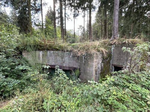 Westwall Weg