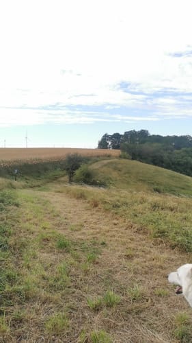 Kleine Runde bei Mallnow