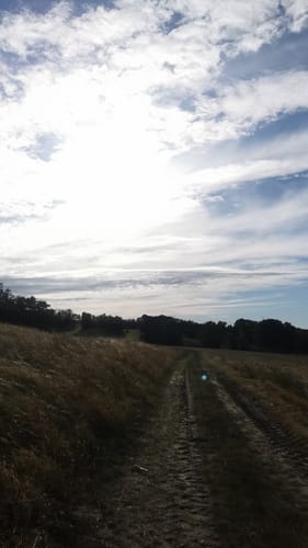 Kleine Runde bei Mallnow