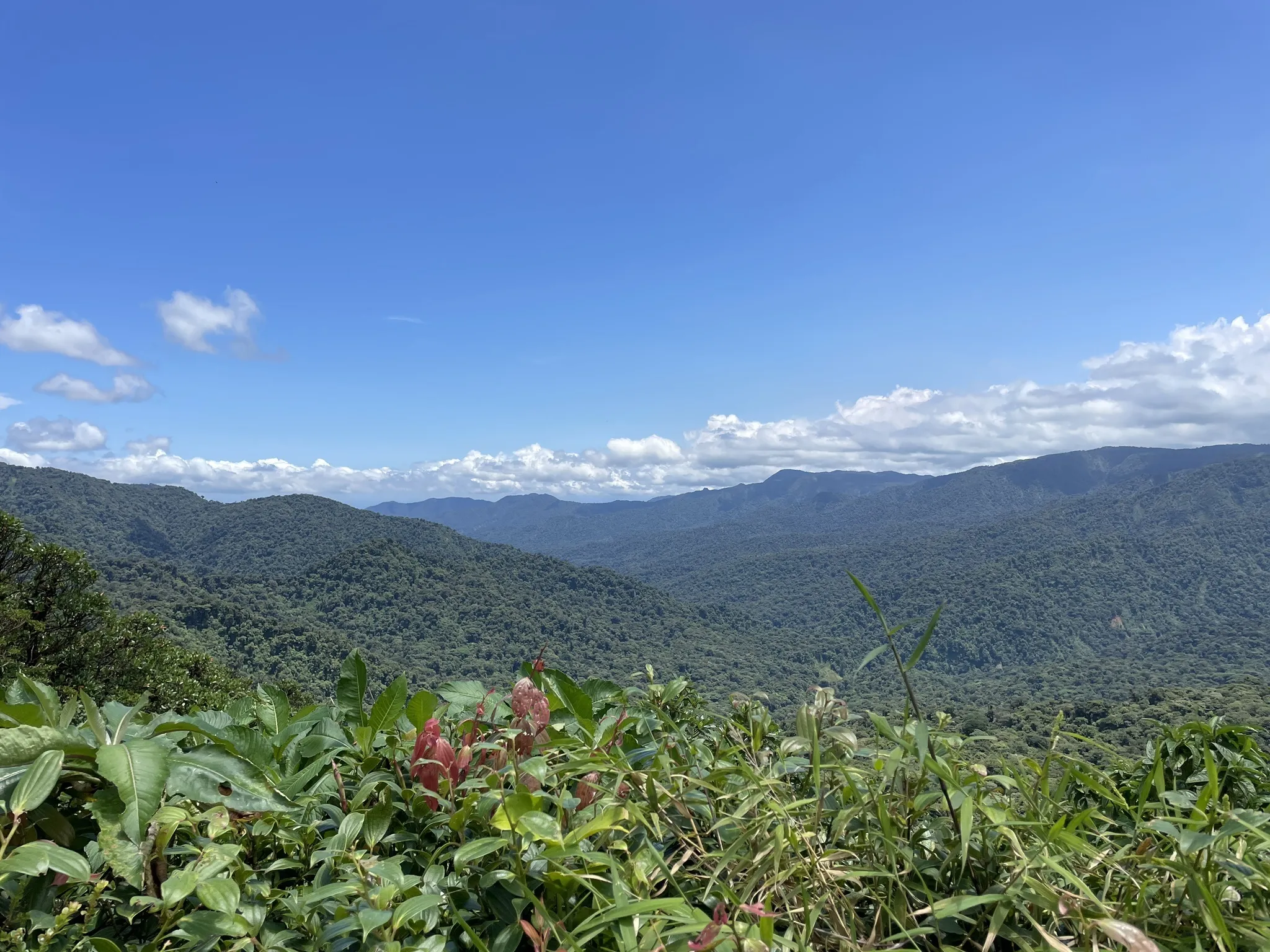 Quebrada Cuecha Trail logo