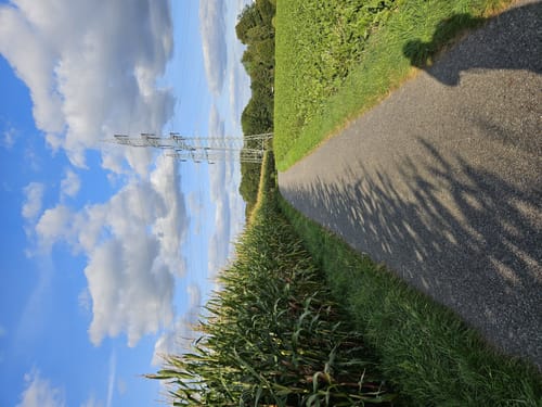 Braunkohleweg (Jülich J6)