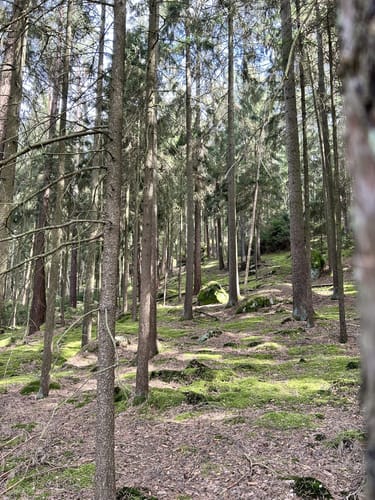 Ebnether Felsensteig
