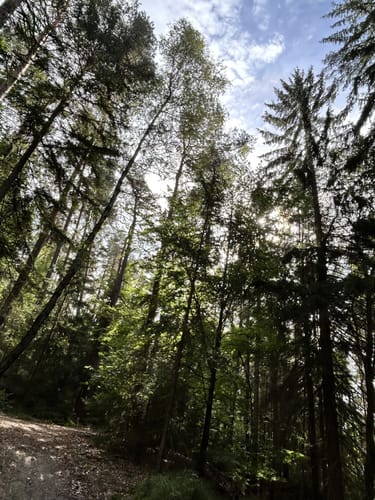 Ebnether Felsensteig