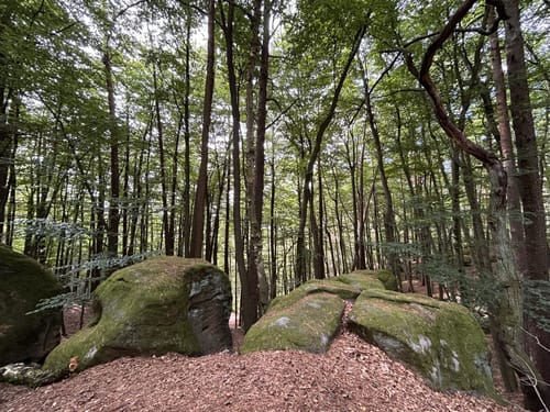 Ebnether Felsensteig