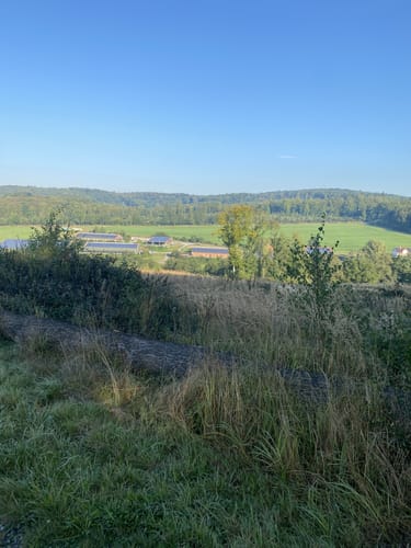 Kleine Runde bei Menden