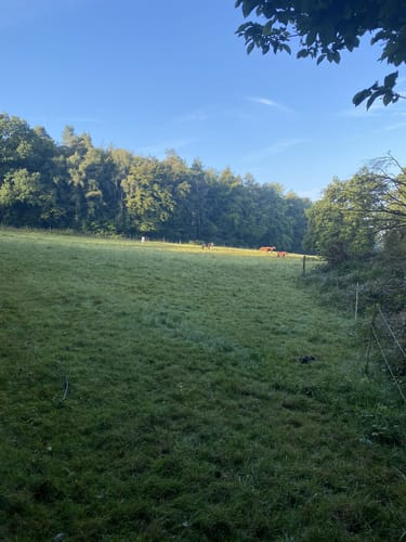 Kleine Runde bei Menden