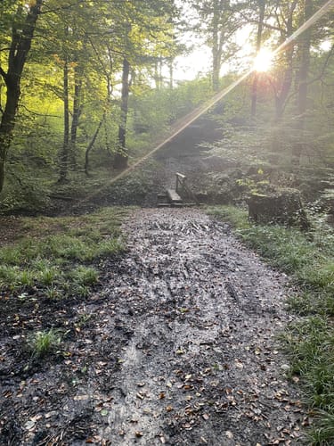 Kleine Runde bei Menden