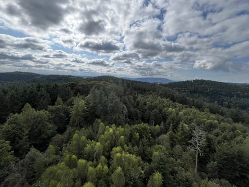 Um Wilhelmsfeld über den Teltschikturm