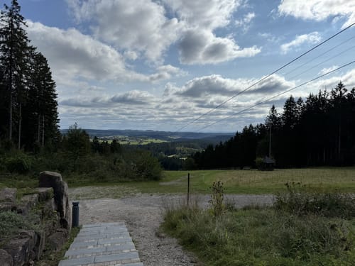 Durch den Wald in Freudenstadt