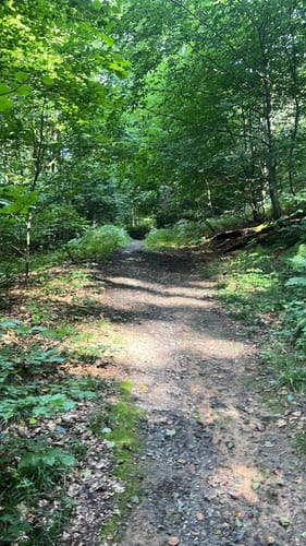 Forsthaus Rundweg A3