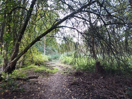 Werbelner Geschichtenweg
