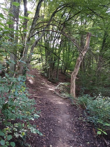 Werbelner Geschichtenweg
