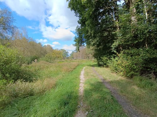 Aukrug zum Möreler Moor