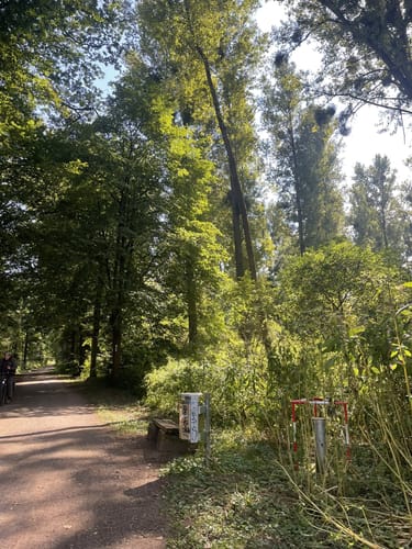 Urdenbacher Kämpe - Große Runde