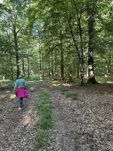Veerßener Wald Runde