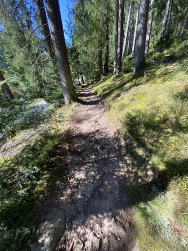 Waldpfad Groppertal (Premiumwanderweg)