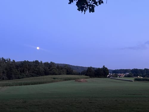 Wald und Wiesen ab Queidersbach