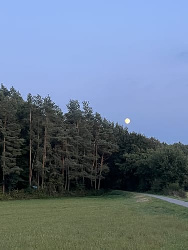 Wald und Wiesen ab Queidersbach