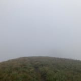 Johnson Ridge Trail, Washington - 287 Reviews, Map | AllTrails