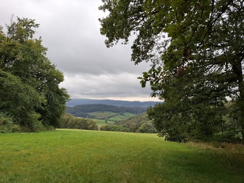 Böllstein - Burg Schnellerts