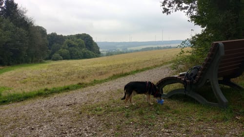Baybachquellen (Traumschleifchen)