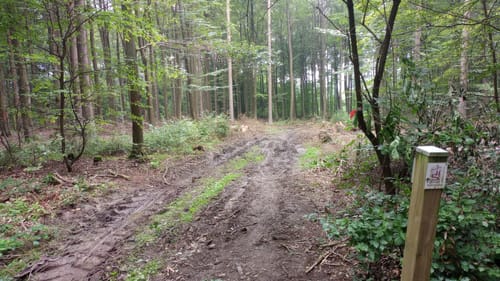 Baybachquellen (Traumschleifchen)