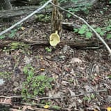 Raven Rocks via Appalachian Trail, Virginia - 6,480 Reviews, Map ...