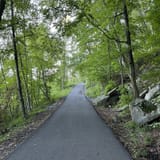 Hessian Lake Loop, New York - 836 Reviews, Map | AllTrails