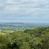 Mossy Ridge Trail, Tennessee - 7,268 Reviews, Map | AllTrails