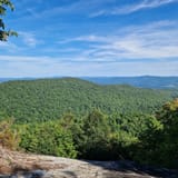 Butter Gap to Cat Gap Trail, North Carolina - 508 Reviews, Map | AllTrails
