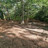 Butter Gap to Cat Gap Trail, North Carolina - 508 Reviews, Map | AllTrails