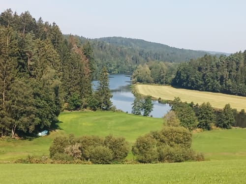 Prackenbach entlang Schwarzer Regen