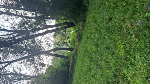 Seen und Weiher Runde bei Ergolding