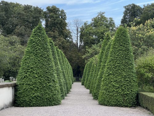 Durch den Schwetzinger Schloßpark