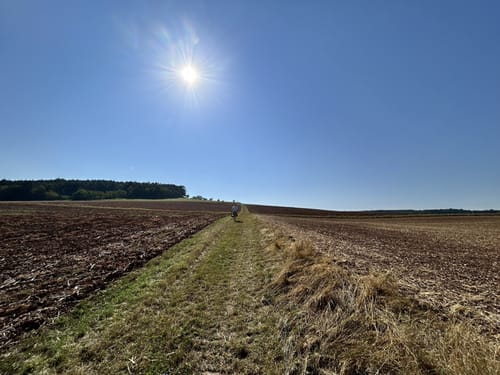 Rundwanderweg 1250 Jahre Uissigheim